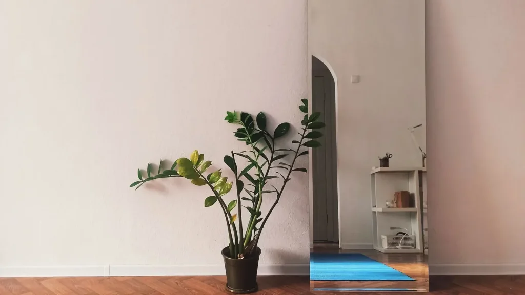 Căn phòng tối giản với cây xanh, gương và tấm thảm yoga trải trên sàn gỗ